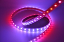 Digital RGBW LED-list - 5V 144LED/m