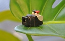 DC-Adapter Hona med snabbterminal