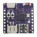 C3 Pico V1.0.0 - RISC-V