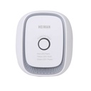 Gas Sensor